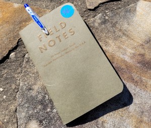 a picture of my current log book and pen