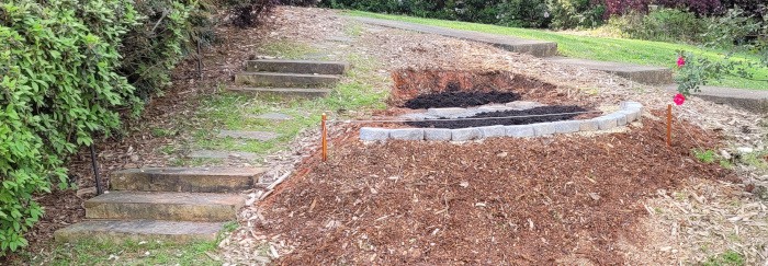Leveling done and ready for planting