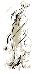 a whispy misty shadow thing