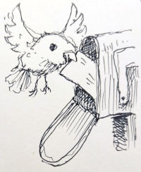 Drawing of a bird putting a letter in a mailbox.