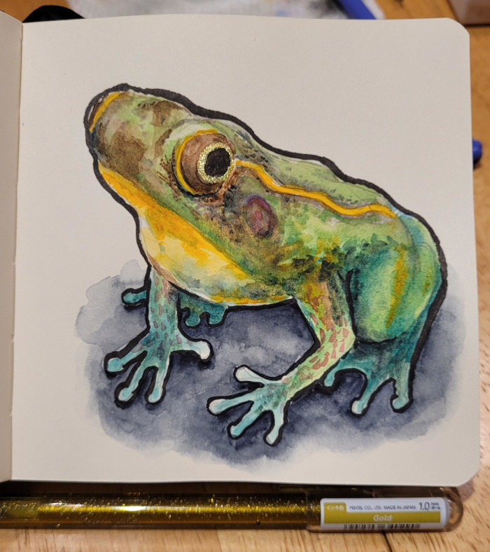 Picture of a page from my sketchbook with a frog with a gold ring around the eye and a gold pen nearby.