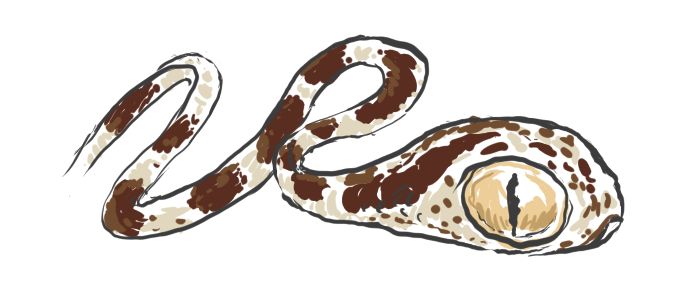 drawing of a snake